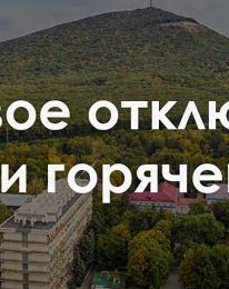 Ткань пайетки на трикотажной основе абрикосовый